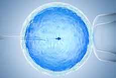 做试管精子和卵子不结合是为什么？测排卵试纸怎样结果